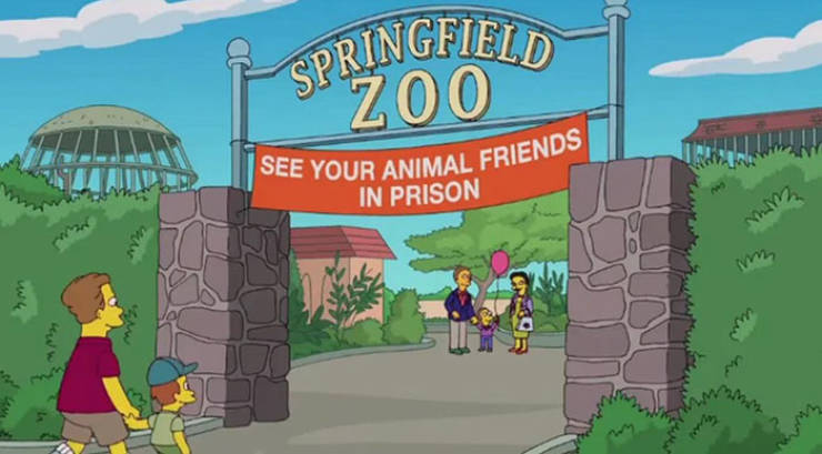 Funny Signs From "The Simpsons" (70 pics)