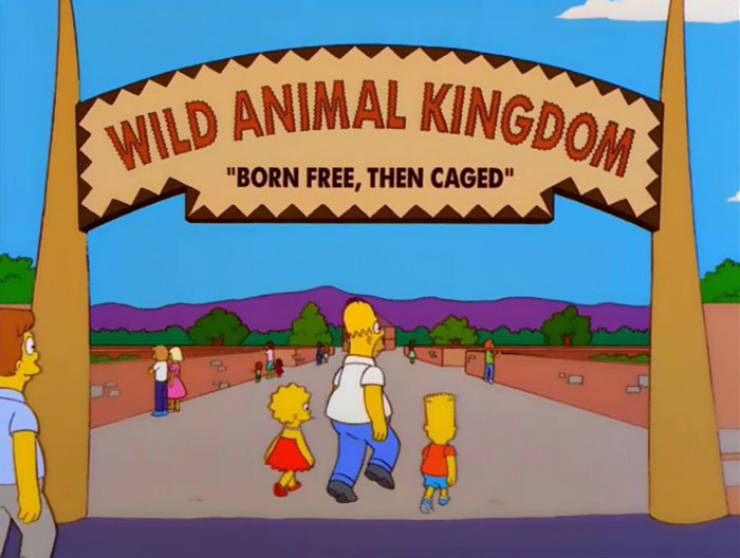 Funny Signs From "The Simpsons" (70 pics)