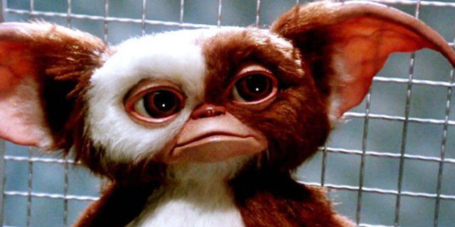 5 Crazy Facts About The ‘Gremlins’ Movie