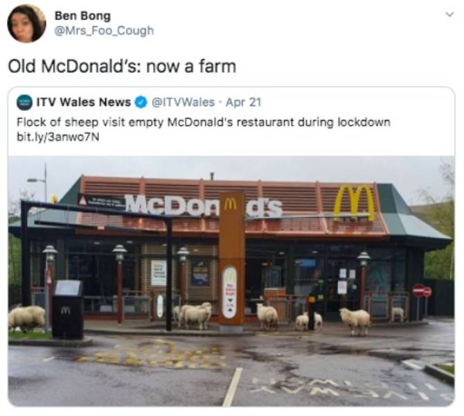 Random Funny Memes (49 pics)