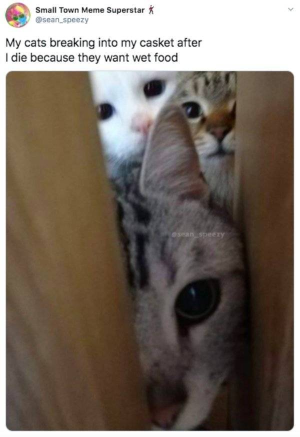 Random Funny Memes (49 pics)