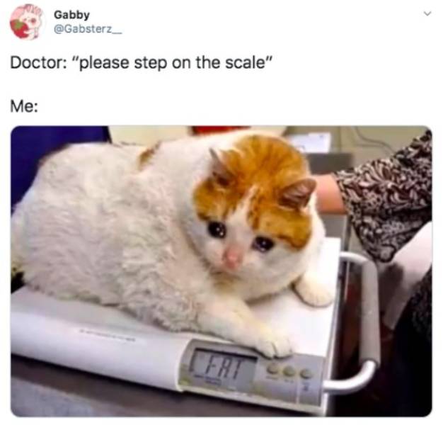 Random Funny Memes (49 pics)