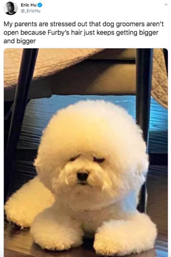 Random Funny Memes (49 pics)