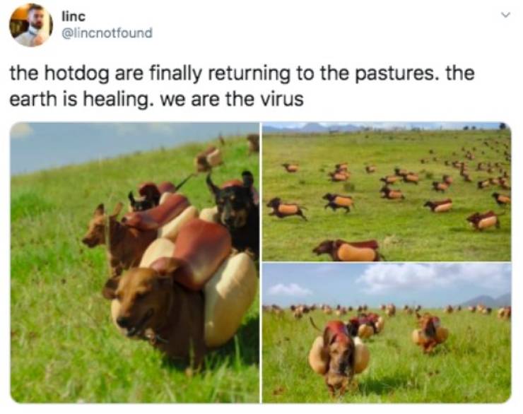 Random Funny Memes (49 pics)