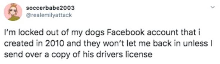 Random Funny Memes (49 pics)
