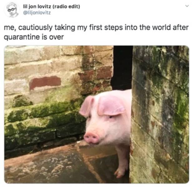 Random Funny Memes (49 pics)