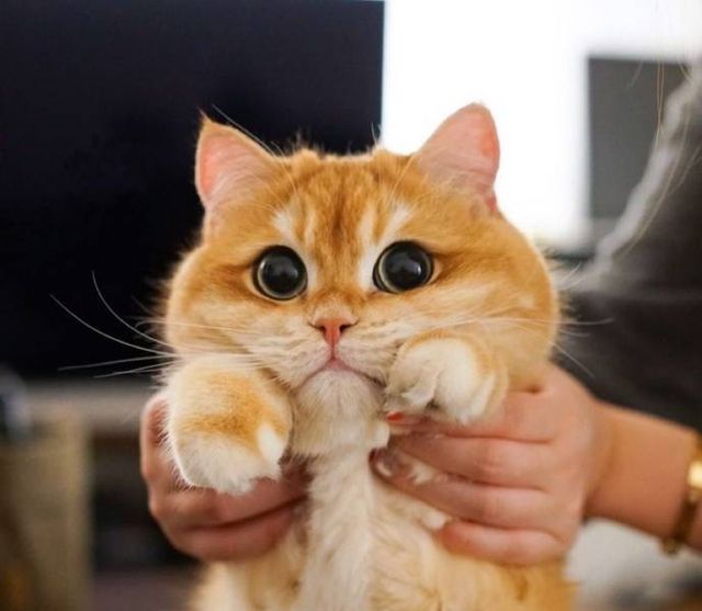 Acid Picdump. Part 2 (95 pics)