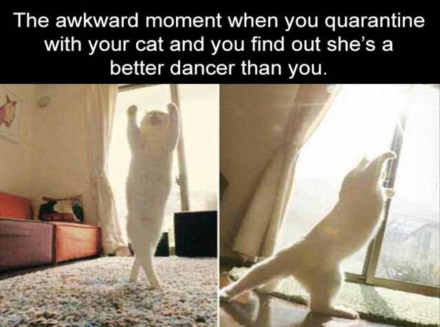 Acid Picdump. Part 2 (95 pics)