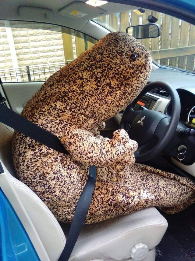 Acid Picdump. Part 1 (95 pics)