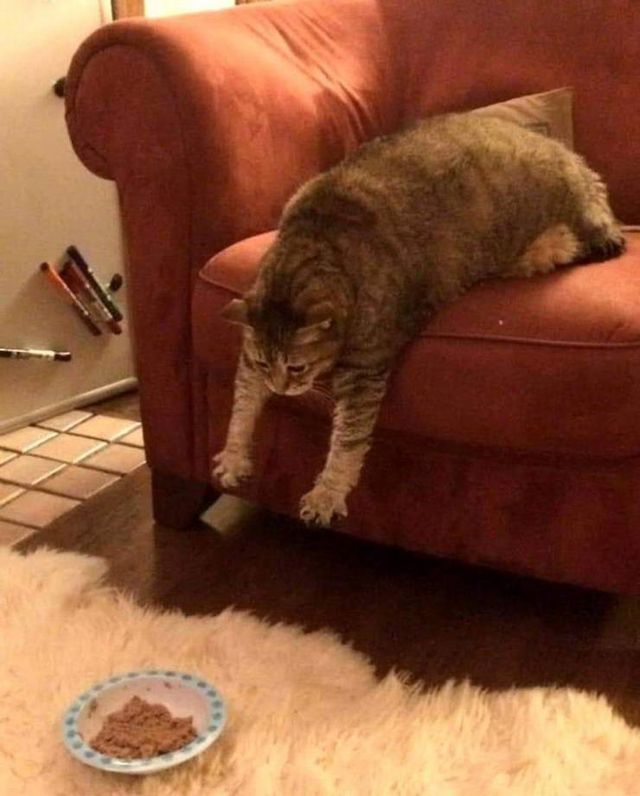 Acid Picdump. Part 2 (95 pics)