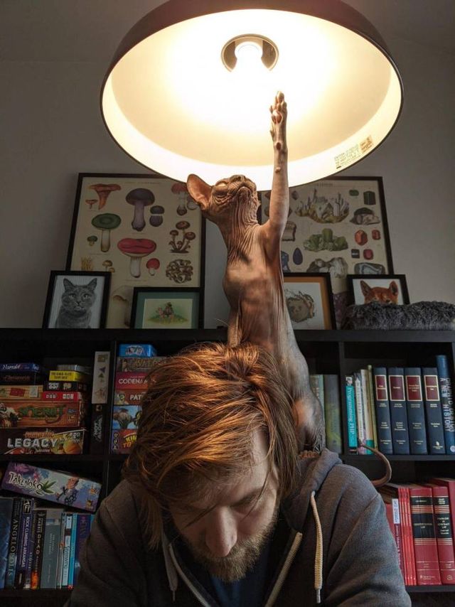 Acid Picdump. Part 1 (95 pics)