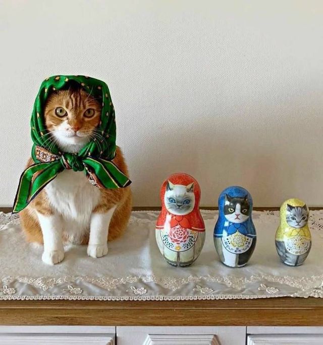 Acid Picdump. Part 2 (95 pics)