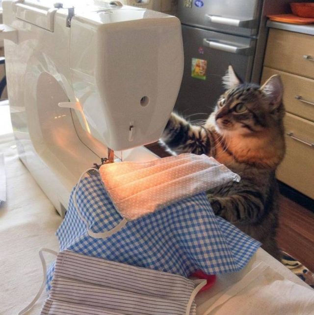 Acid Picdump. Part 2 (95 pics)