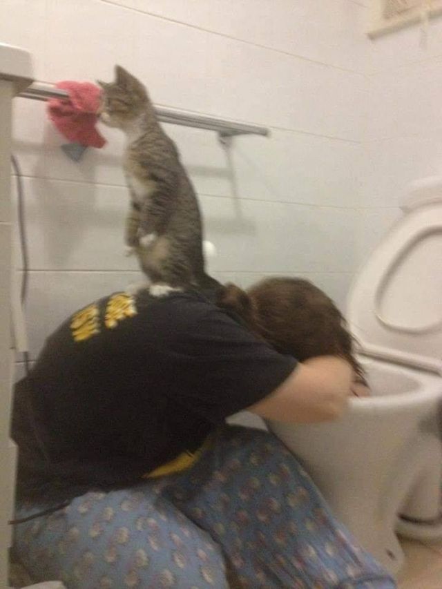 Acid Picdump. Part 2 (95 pics)