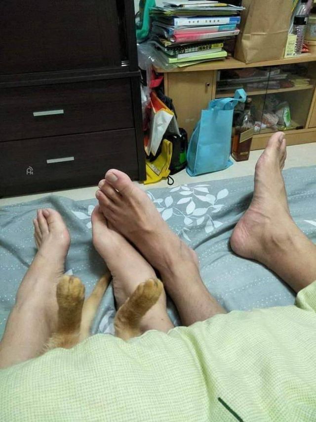 Acid Picdump. Part 2 (95 pics)