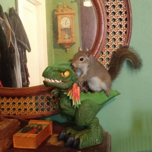 Acid Picdump. Part 1 (95 pics)