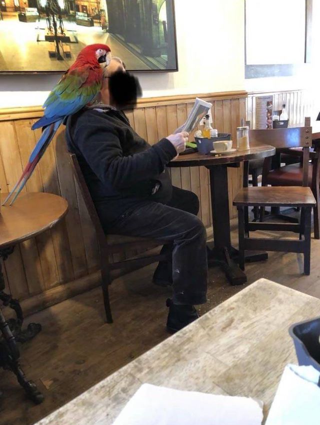 Acid Picdump. Part 1 (95 pics)