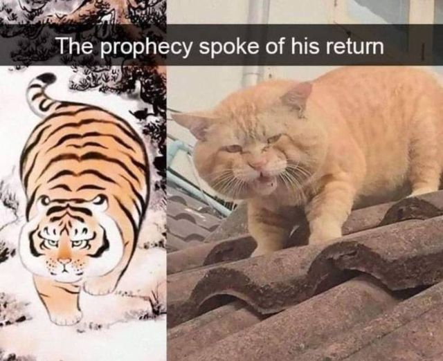 Acid Picdump. Part 1 (95 pics)