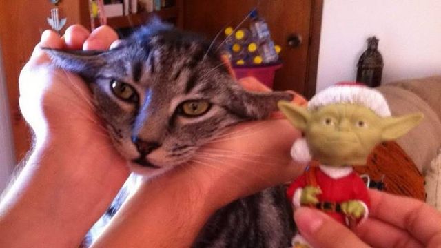 Acid Picdump. Part 1 (95 pics)