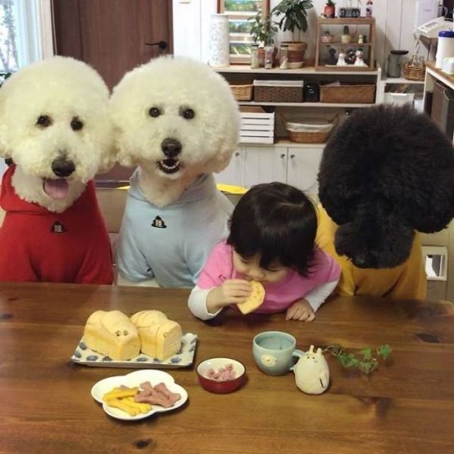 Acid Picdump. Part 1 (95 pics)