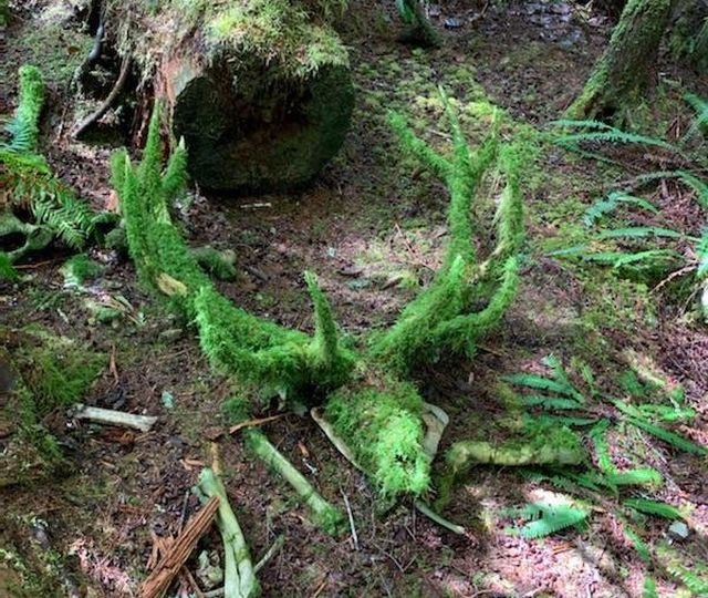 The Power Of Nature (24 pics)