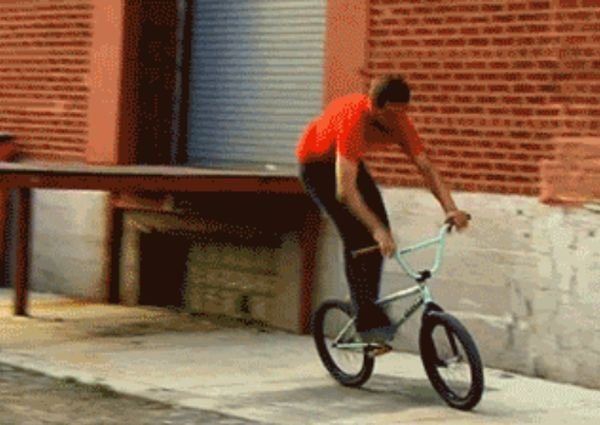 Wins (18 gifs)