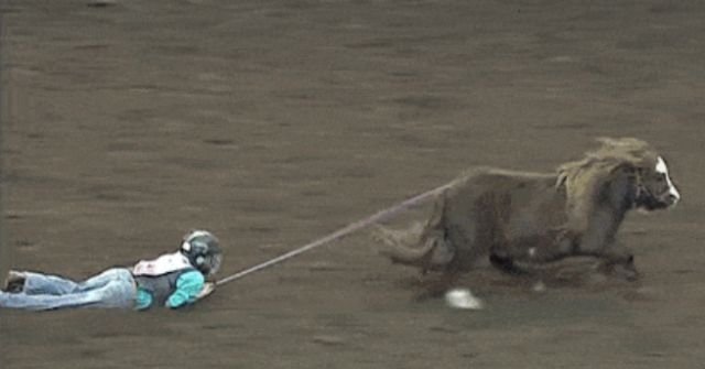 Fails (14 gifs)