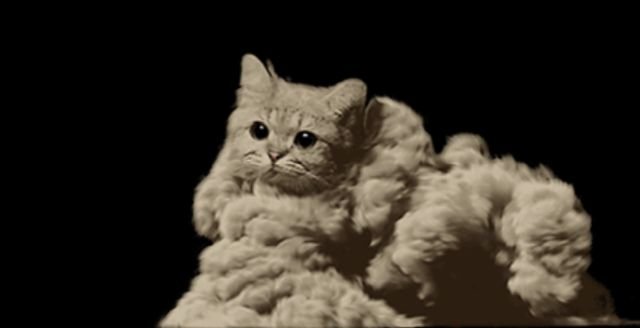 Surreal GIFs (18 gifs)