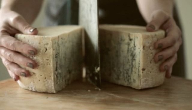 Cheese Facts (14 gifs)