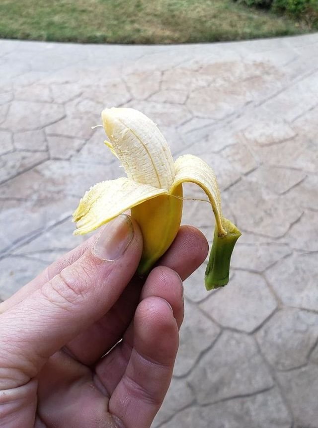 People Show Off Their Tiny Harvests (29 pics)