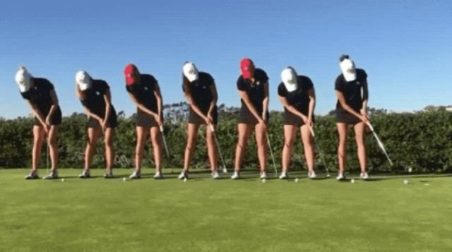 Wow GIFs (16 gifs)