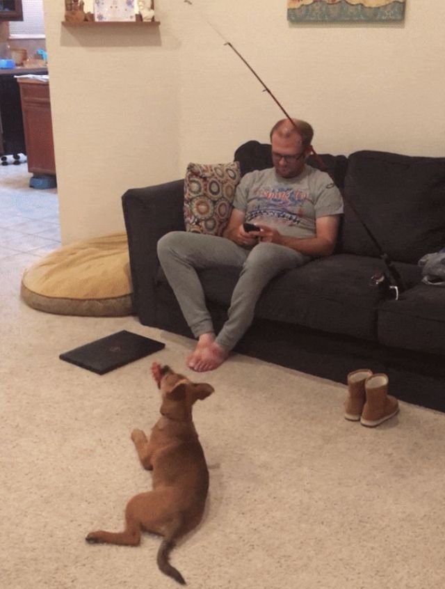 Everything You Should Know About Men (17 pics)