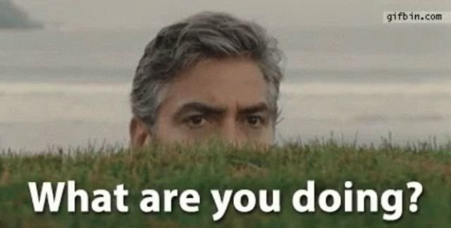 Crazy Grown-Up Things (17 gifs)