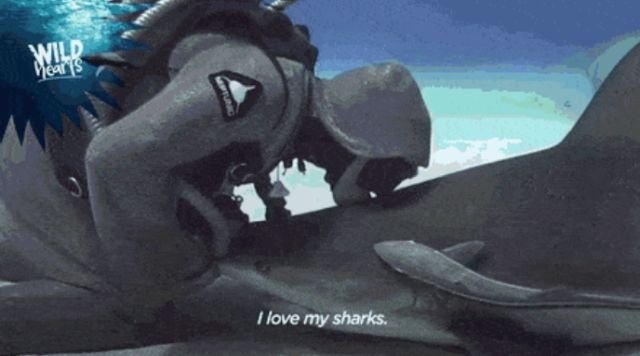 Wow GIFs (26 gifs)