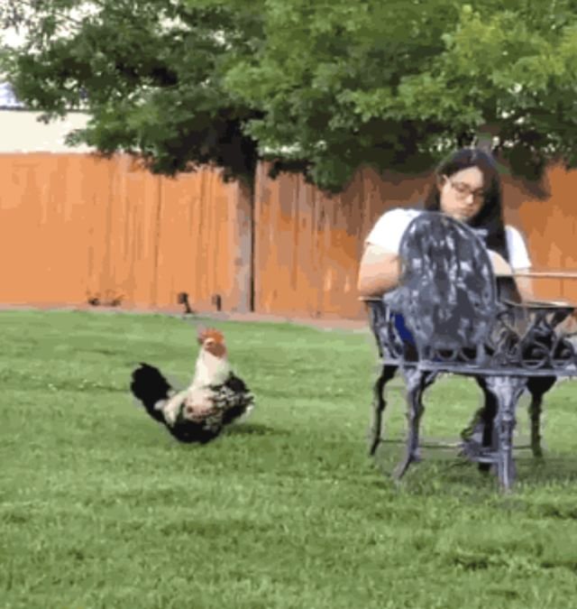 Wins And Fails (35 gifs)