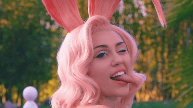 Celebrity Facts (18 gifs)