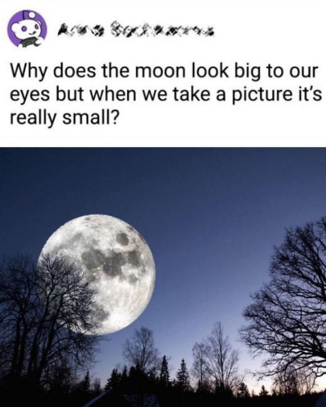 Answers For The Tricky Questions (16 pics)