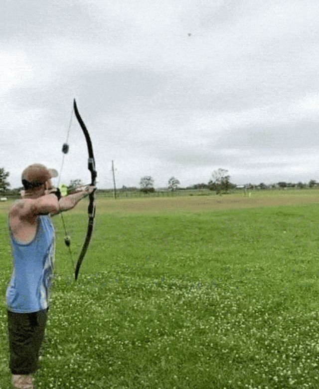 Wow GIFs (34 gifs)