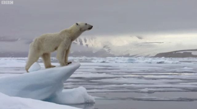 Scary Facts (29 gifs)