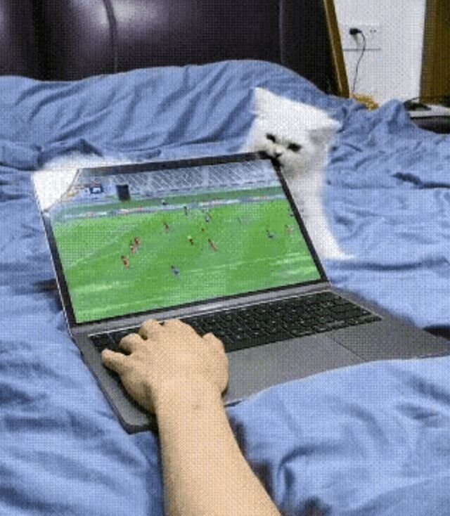 Fails (33 gifs)