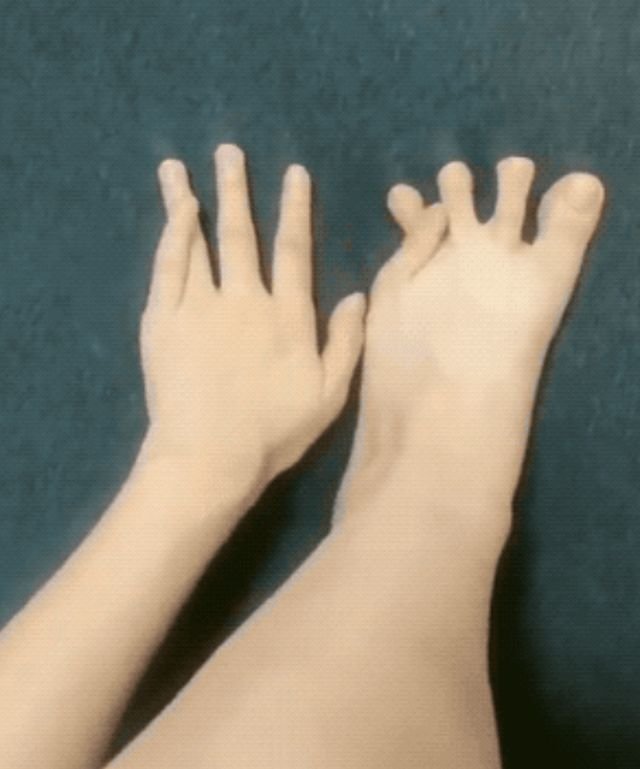 Wow GIFs (33 gifs)