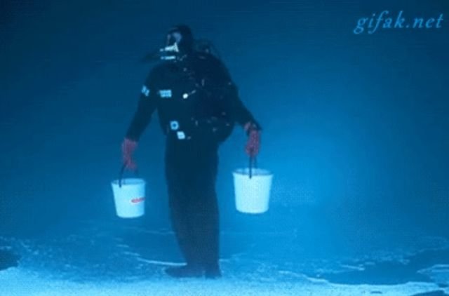 Wow GIFs (24 gifs)