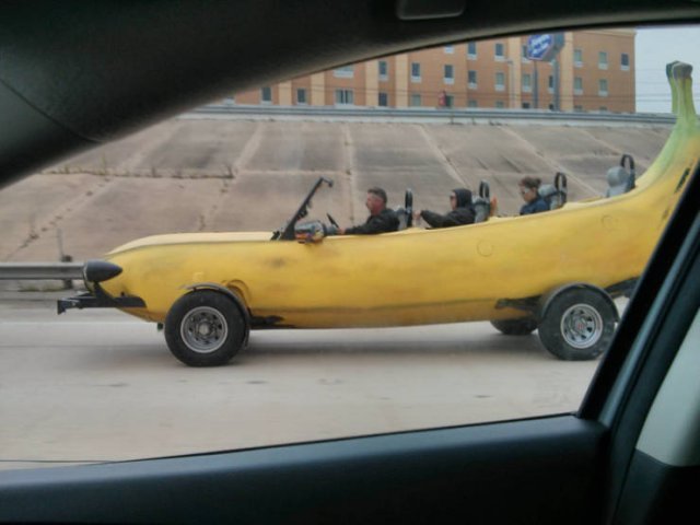 Interesting Surprises (16 pics)