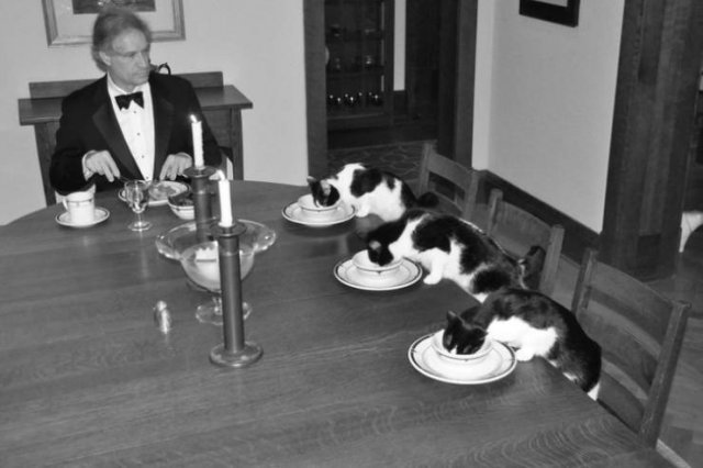 Unusual Situations (19 pics)