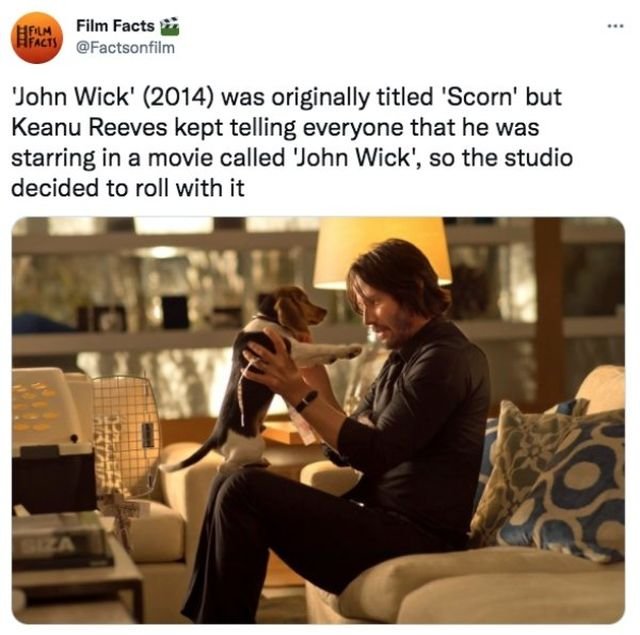 Movie Facts (31 Photos)