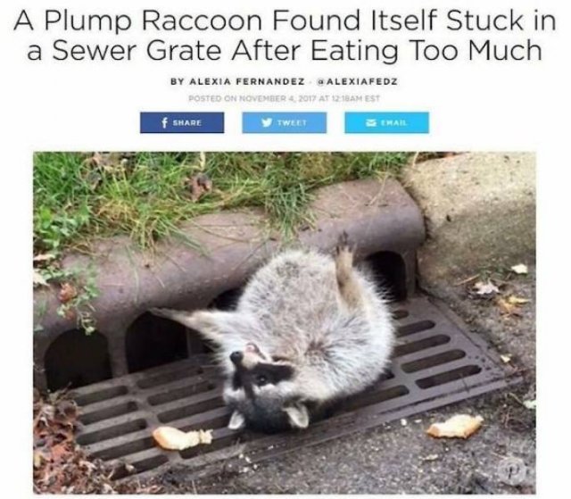 Funny News Headlines (43 pics)