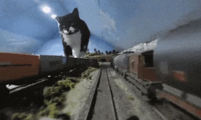 Acid GIFs, February 8 (25 gifs)