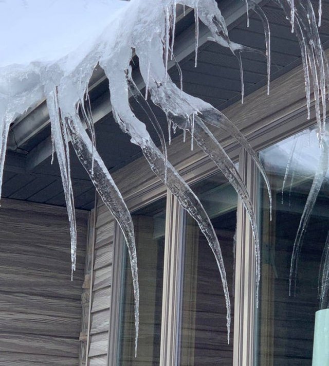 Winter Photos (17 pics)