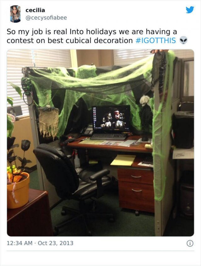 Handmade Office Cubicles (29 pics)