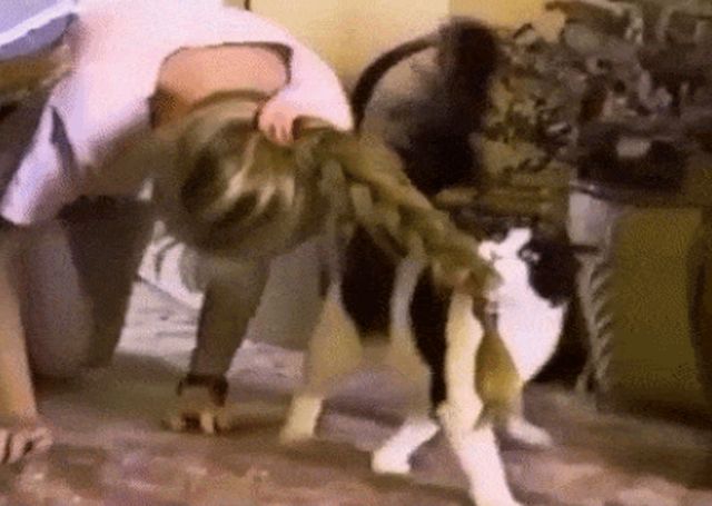 Acid GIFs, February 9 (25 gifs)